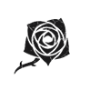 Toreador - A rose